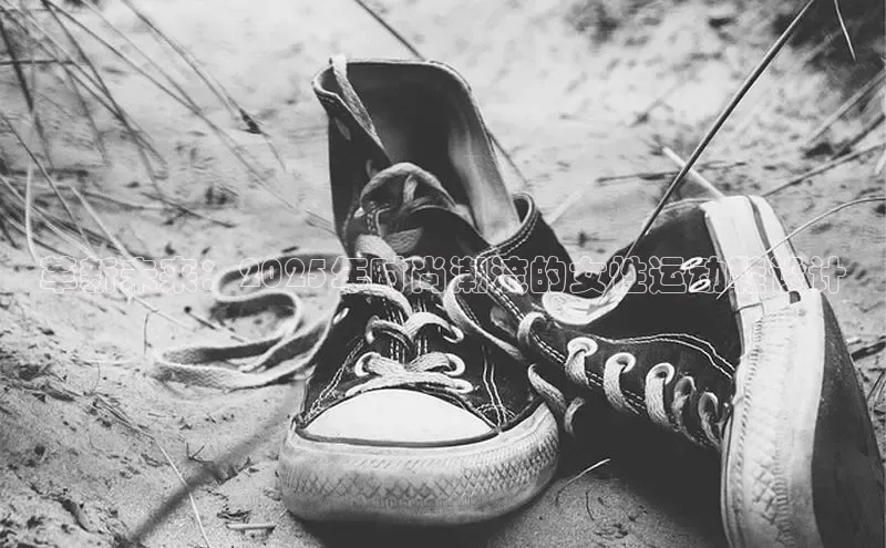 熊猫体育官网网址