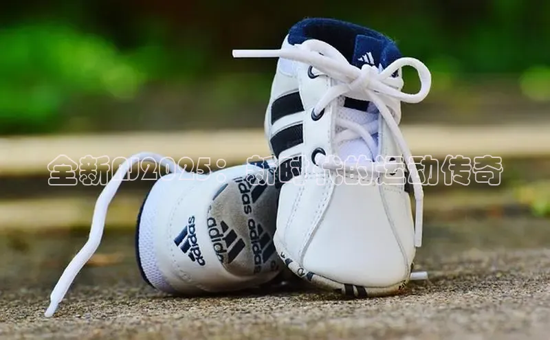 熊猫体育(官方网站)